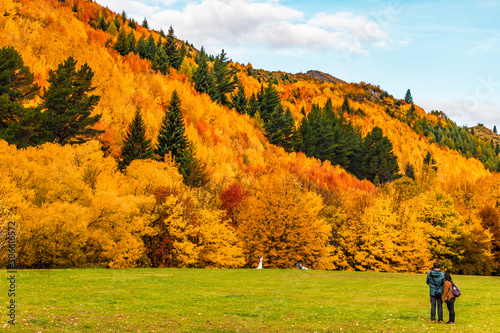 Autumn 