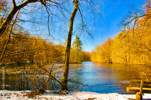 First snow at the pond on a beautiful sunny day with blue sky reflected in the water surrounded by orange trees