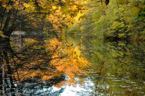 Colorful foilage reflected in a pond