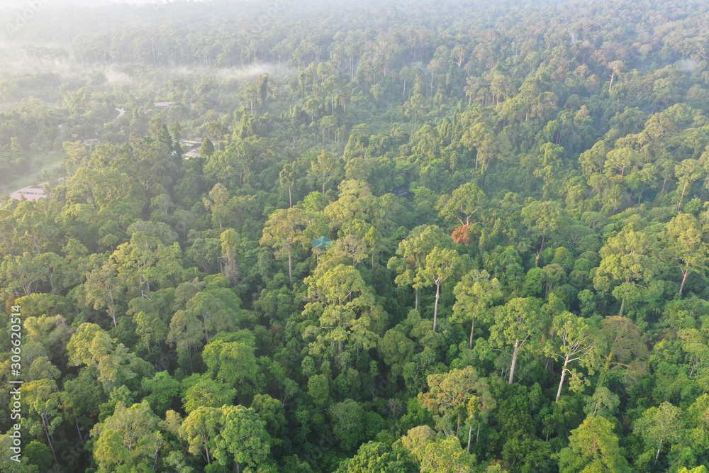 Obraz premium Aerial view of Tropical Rainforest in Malaysia
