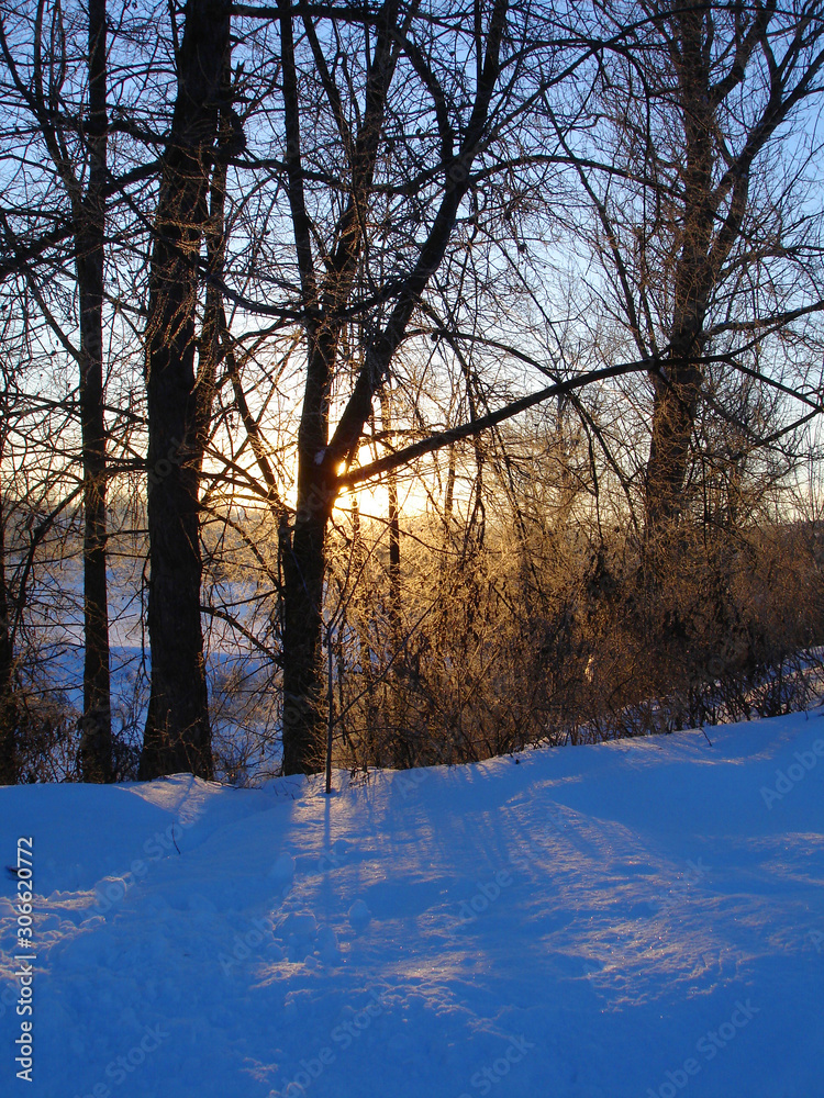 Sunrise in winter in the woods Sunrise in winter in the woods