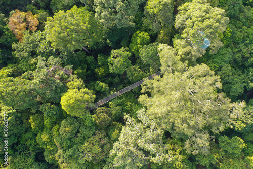 Aerial view of Tropical Rainforest in Malaysia