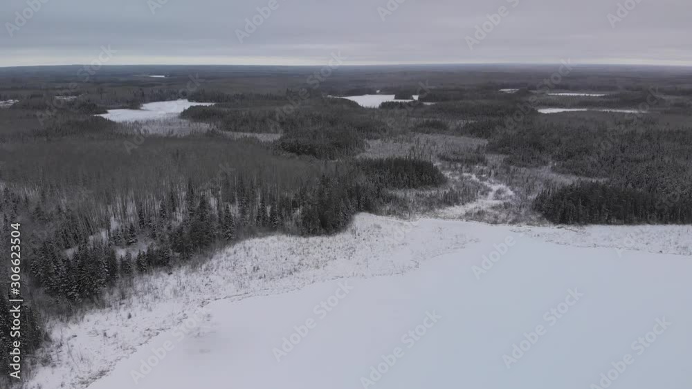 Drone flight high above the treetops showing a vast winter landscape with small lakes and trees in a boreal forest. The sky is overcast with low grey clouds making the scene almost black and white. Drone flight high above the treetops showing a vast winter landscape with small lakes and trees in a boreal forest. The sky is overcast with low grey clouds making the scene almost black and white.