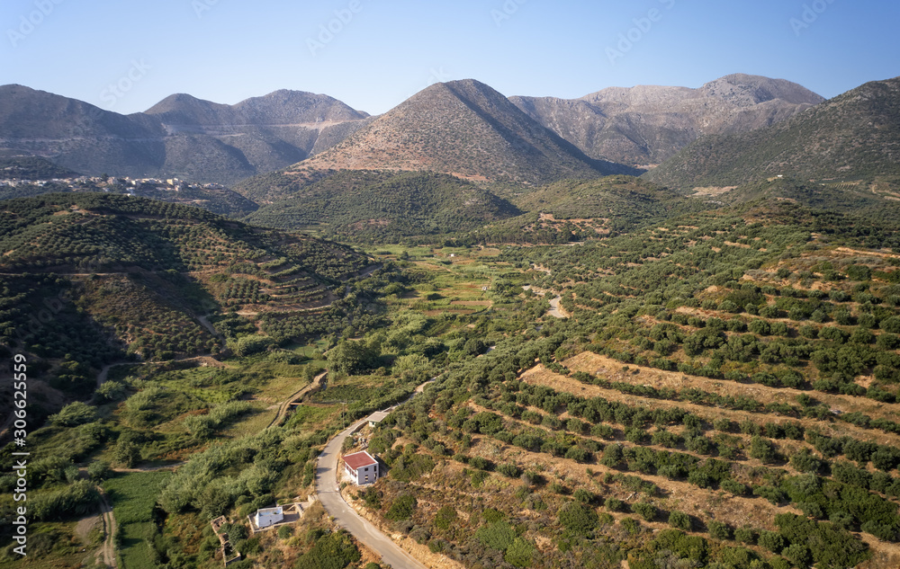 Aerial view on olive groves on the hils and mountain slopes. Crete, Greece.