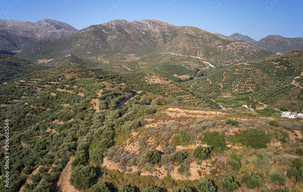Aerial view on olive groves on the hils and mountain slopes. Crete, Greece.