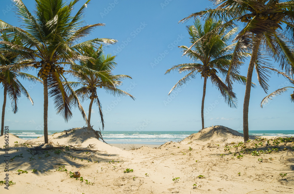 Beautiful view of Mangue Seco in Bahia, small fisherman's beach Beautiful view of Mangue Seco in Bahia, small fisherman's beach