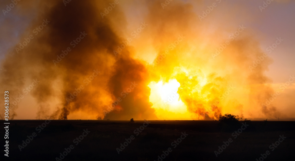 Hot fire consuming a forest, the concept of the environment. a day in the summer Hot fire consuming a forest, the concept of the environment. a day in the summer