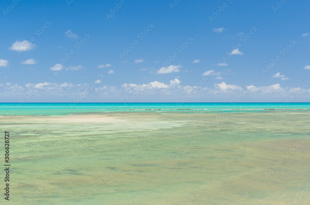 Fototapeta premium Gorgeous view of Maragogi beach with its crystal clear blue wate