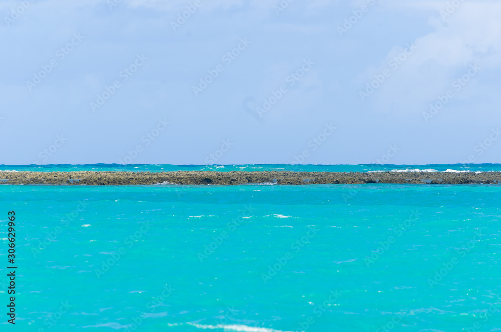 Coral barrier of Maragogi beach in Alagoas Brazil