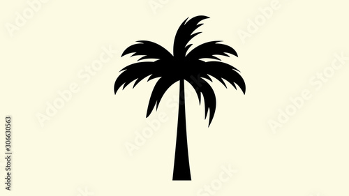 vector illustration of palm trees