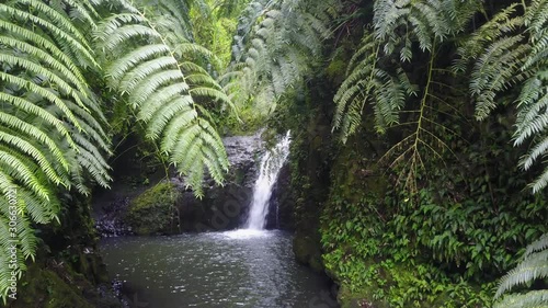 Waterfall in the Jungle Maunawili Falls in Hawaii photo