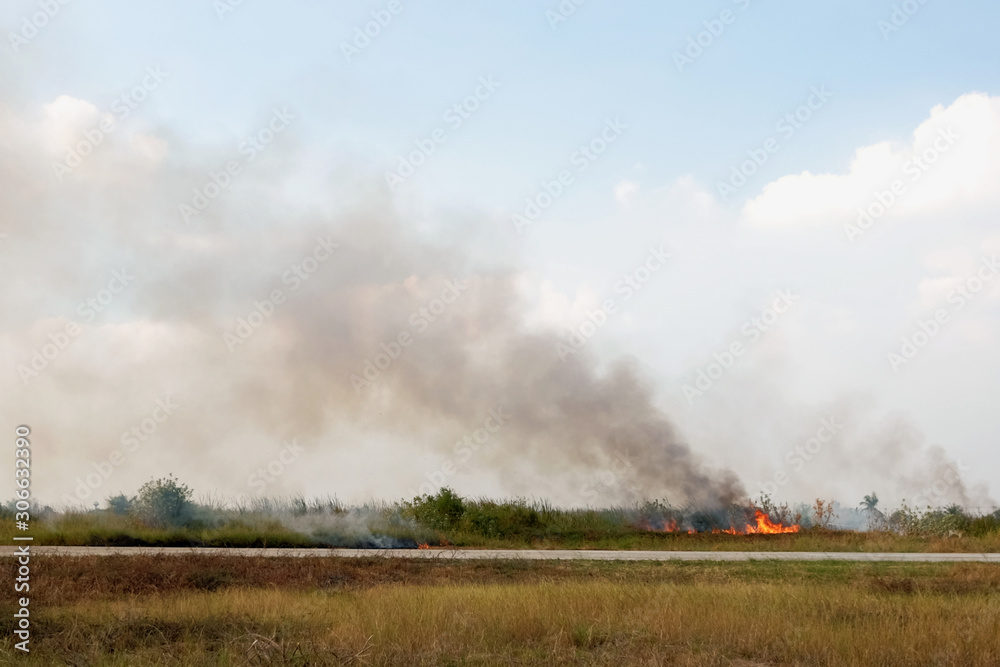 A fire was burning grass on the side of the road A fire was burning grass on the side of the road