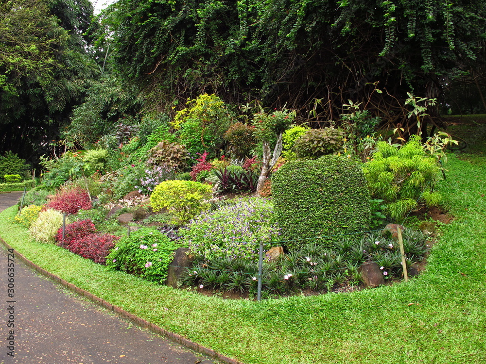 Royal Botanical Gardens, Kandy, Sri Lanka