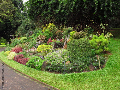 Obraz na płótnie Royal Botanical Gardens, Kandy, Sri Lanka w salonie