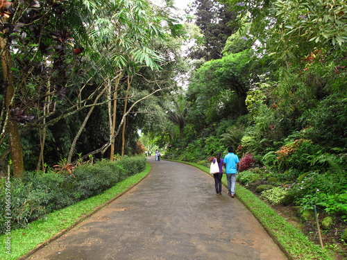 Wallpaper Mural Kandy / Sri Lanka - 07 Jan 2011: Royal Botanical Gardens, Kandy, Sri Lanka Torontodigital.ca