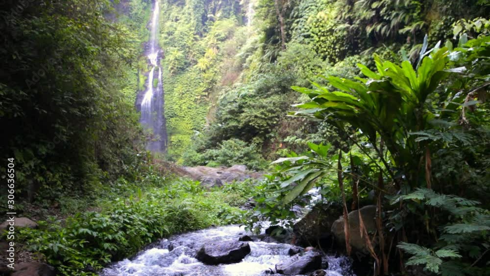 Bali sekumpul waterfall tourist attraction in tropical rain forest