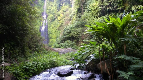 Bali sekumpul waterfall tourist attraction in tropical rain forest photo