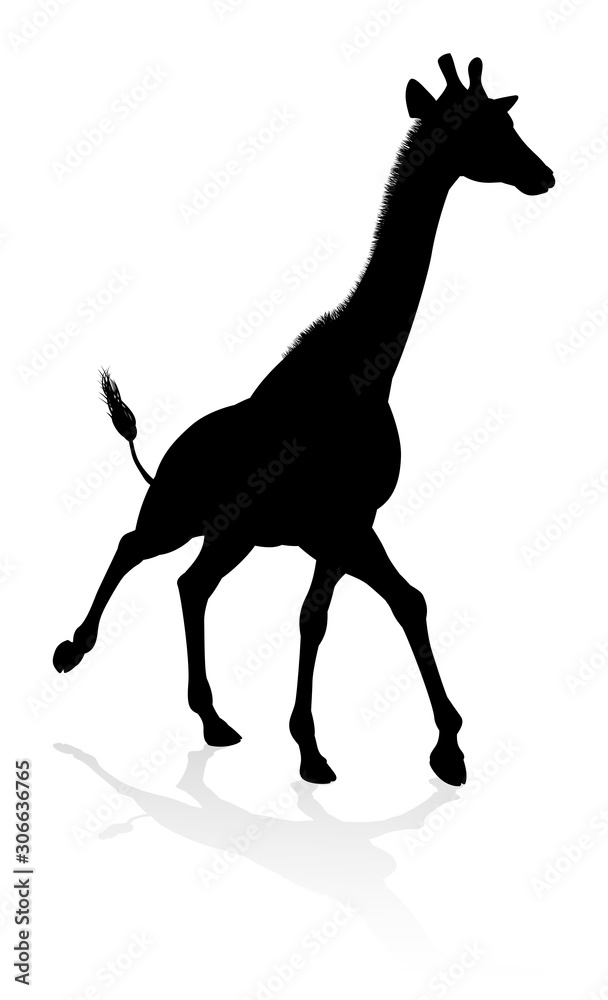 Fototapeta premium A high quality giraffe animal silhouette