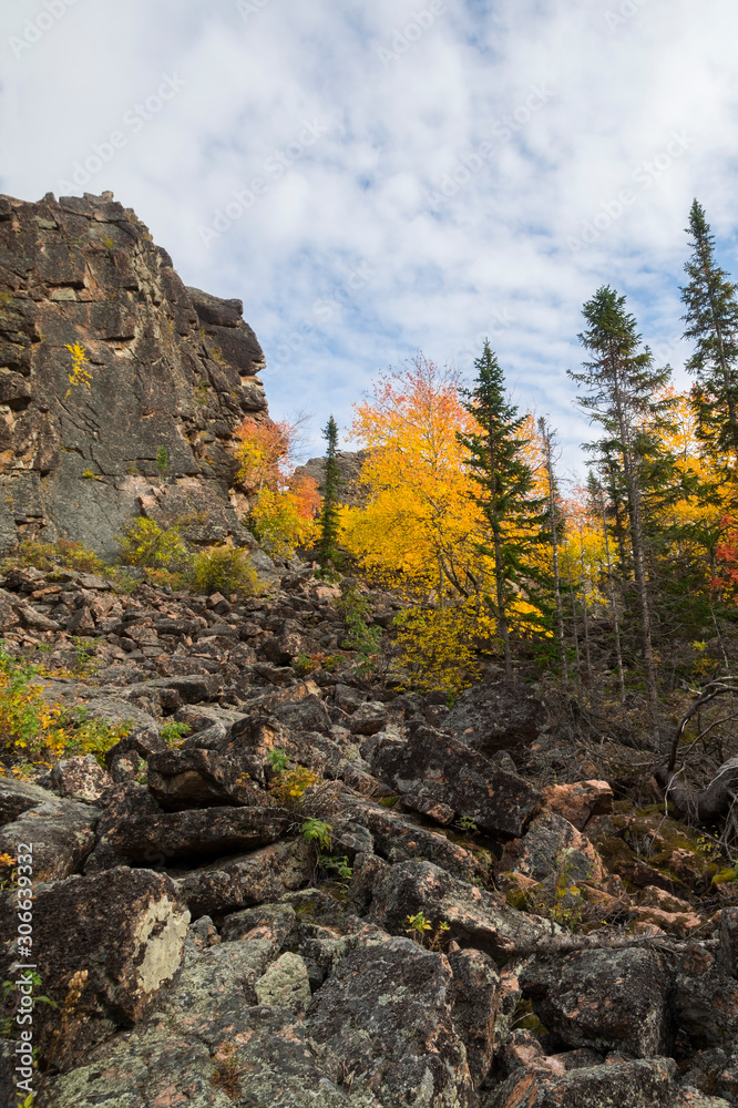 wonderful autumn landscape of mountains and dense coniferous forest wonderful autumn landscape of mountains and dense coniferous forest