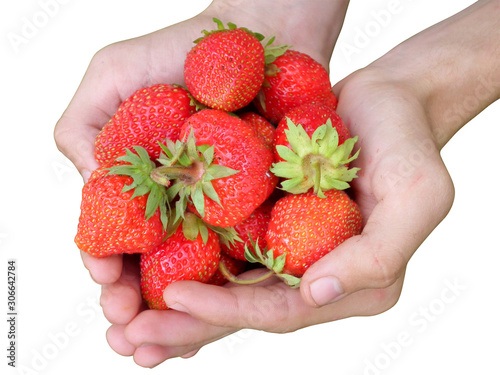 strawberry in hand
