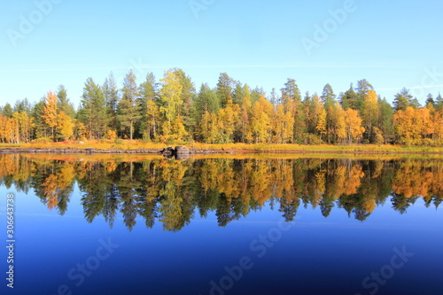 landscape with lake and trees