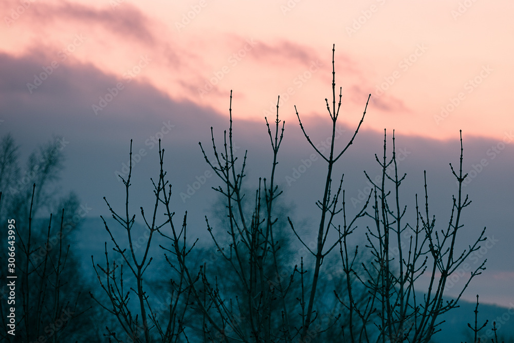 Fototapeta premium Sunrises and sunsets of Russia