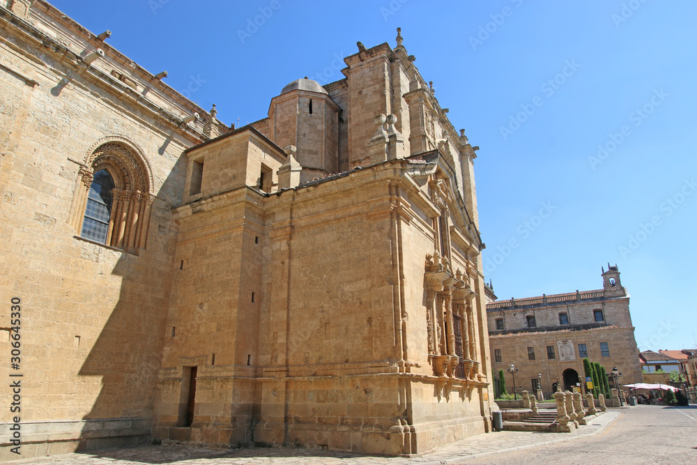 Ciudad Rodrigo Cathedral, Spain	