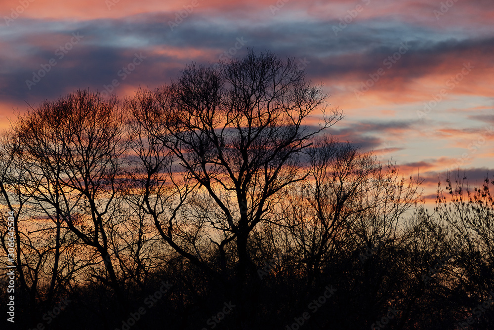 Fototapeta premium Sunrises and sunsets of Russia