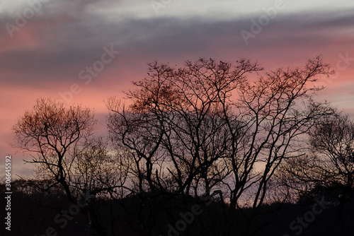 Sunrises and sunsets of Russia