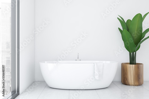 White bathroom interior with tub and plant