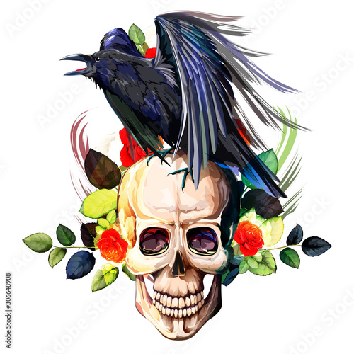 Vintage illustration of raven on skull with flowers roses background. Hand drawn, vector - stock.