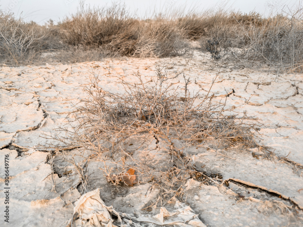 drying land and dying agriculture cause of water crises drying land and dying agriculture cause of water crises