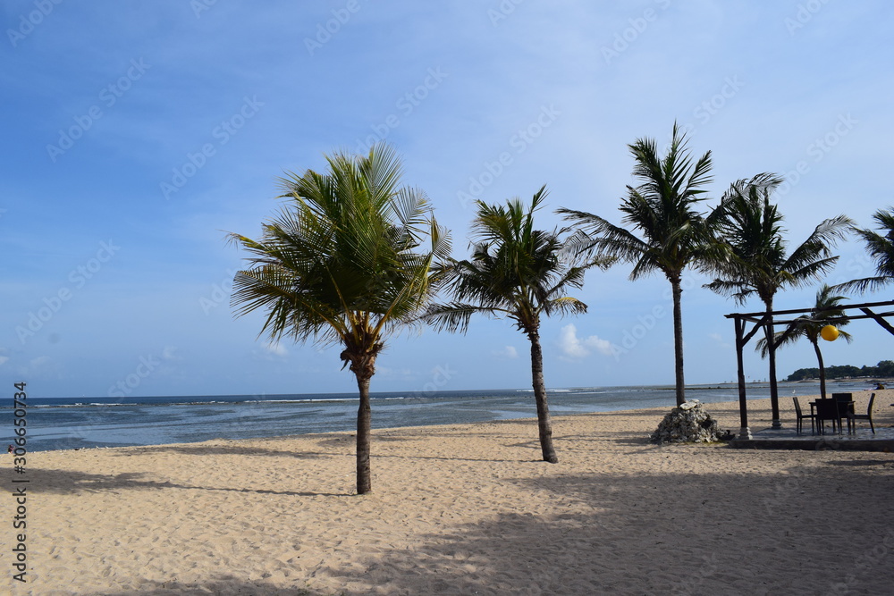 Palme sulla spiaggia dell'isola di Bali, in Indonesia Palme sulla spiaggia dell'isola di Bali, in Indonesia