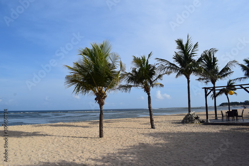 Palme sulla spiaggia dell'isola di Bali, in Indonesia © BiancaVolpe