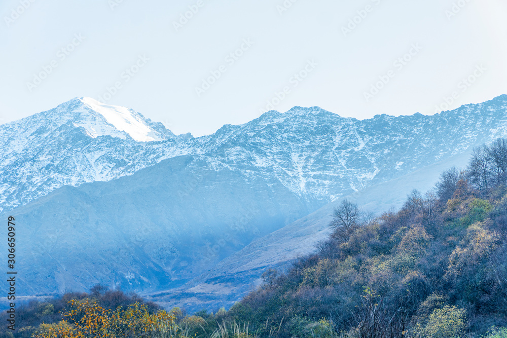 North Ossetia. Mountain peaks in the fall. Orange tree crowns. Falling foliage.