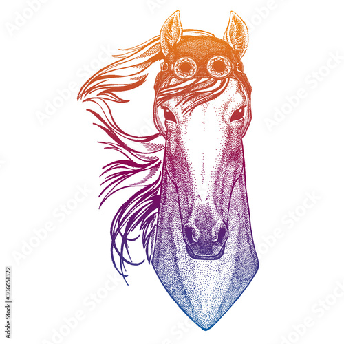 Horse, hoss, knight, steed, courser wearing vintage aviator leather helmet. Image in retro style. Flying club or motorcycle biker emblem. Vector illustration, print for tee shirt, badge logo patch