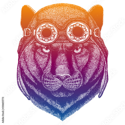 Wild cat, leopard, panther, jaguar, puma wearing vintage aviator leather helmet. Image in retro style. Flying club or motorcycle biker emblem. Vector illustration, print for tee shirt, badge