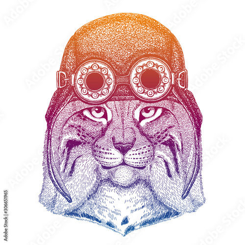 Wild cat, lynx, bobcat, trot wearing vintage aviator leather helmet. Image in retro style. Flying club or motorcycle biker emblem. Vector illustration, print for tee shirt, badge logo patch