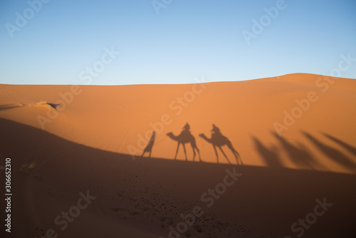Shadow of Berber man leading a group of dromedary camels in the dunes of the Sahara desert.
