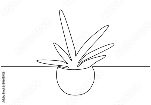 Continuous one line drawing of succulent plant minimalism design. Plant on the pot.
