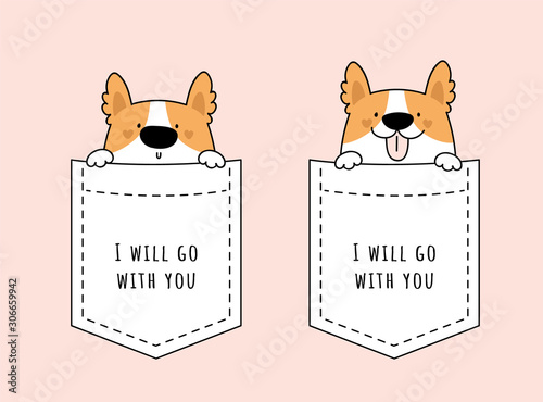 Adorable cute dog sitting in the pocket. Puppy isolated background. Funny animal or pet. Corgi pet. Illustration in flat cartoon style for prints, cards, decoration, textile