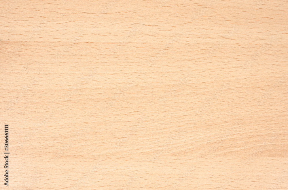 Close-up of beech fiber background . Parquet with wood tree texture . - obrazy, fototapety, plakaty 