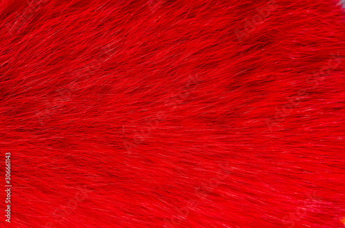 Natural fox fur scarf painted red . Fashion accessory for women .