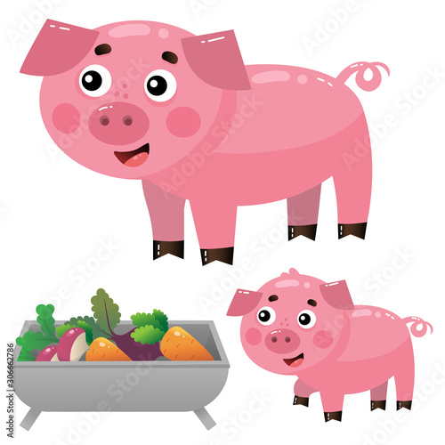 Color images of cartoon pig with piggy on white background. Farm animals. Vector illustration set for kids.