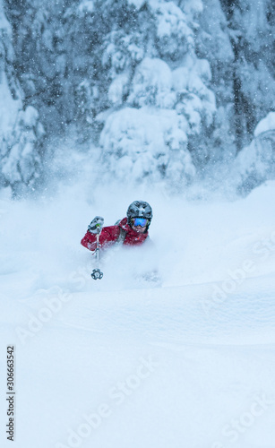 Powder skiing in the trees
