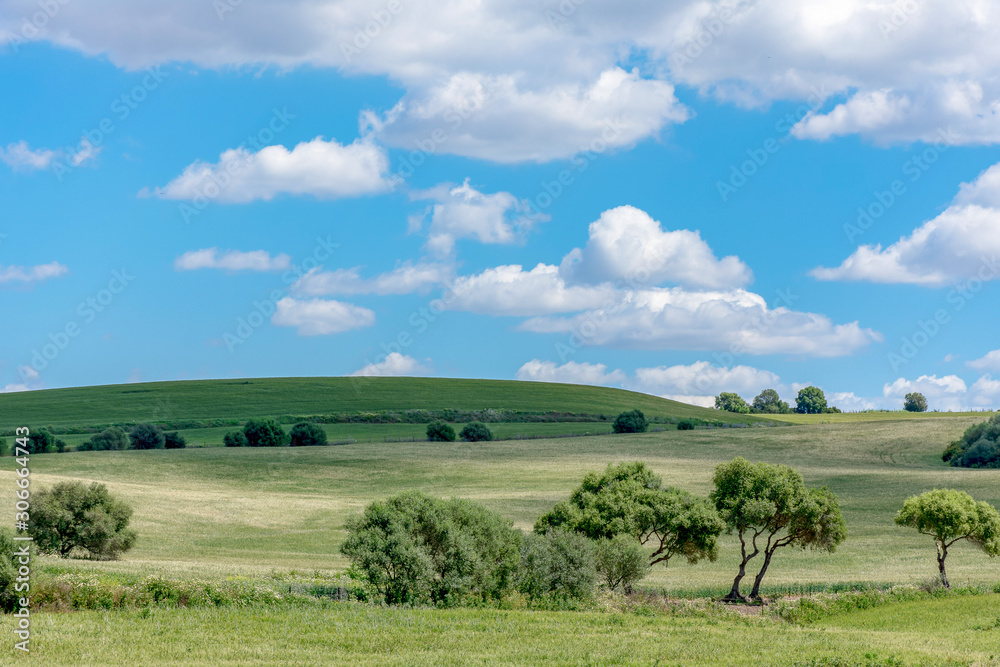 Paisaje de campo con horizonte bajo y nubes en Cadiz,Andalucia.