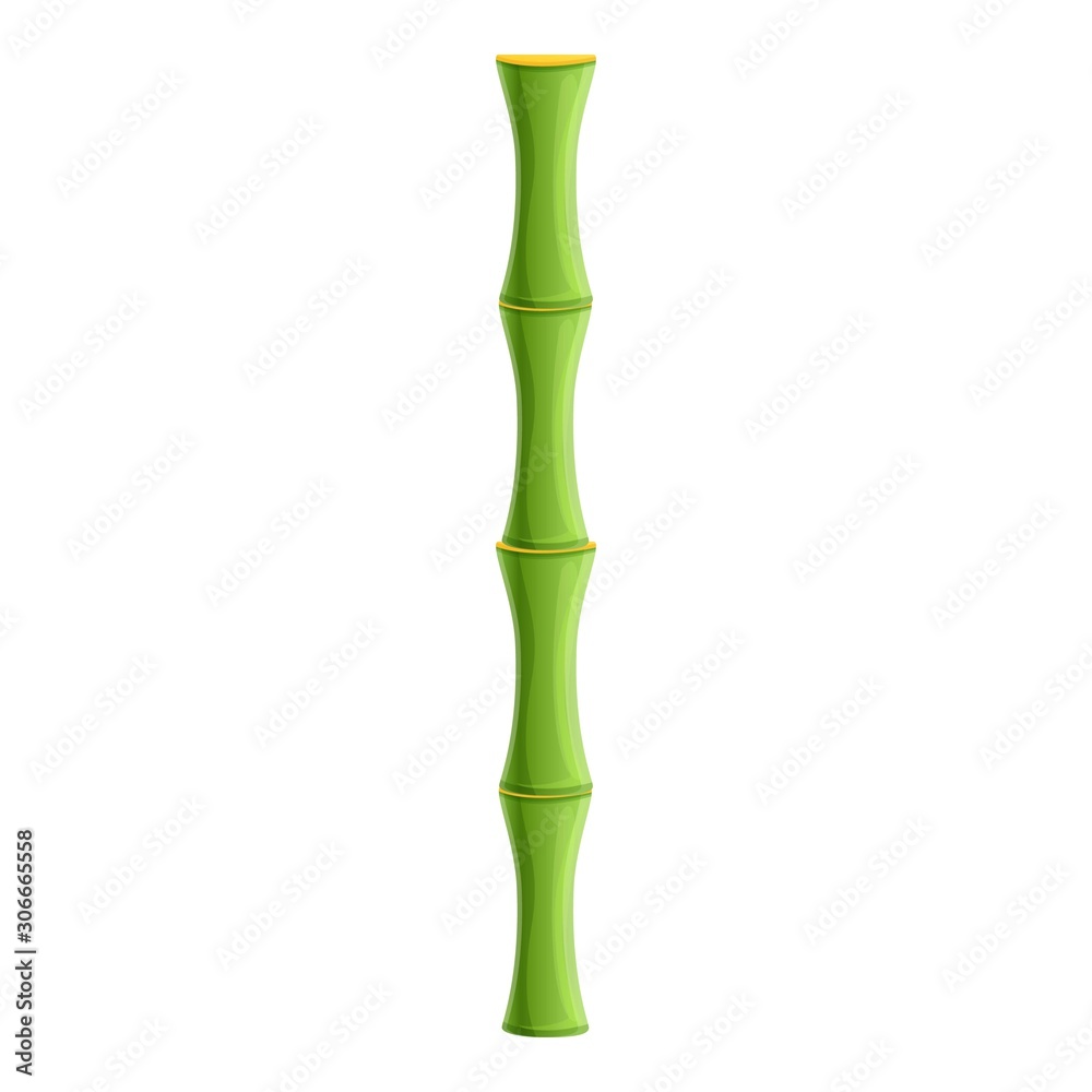 Bamboo stick icon. Cartoon of bamboo stick vector icon for web