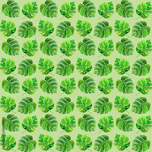 Tropical seamless pattern with different green leafs.