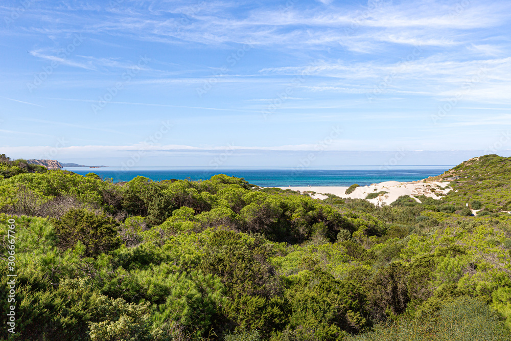 Dune landscape on Sardinia Dune landscape on Sardinia