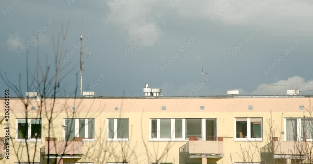 Seagulls flying around an apartment complex in the afternoon Seagulls flying around an apartment complex in the afternoon